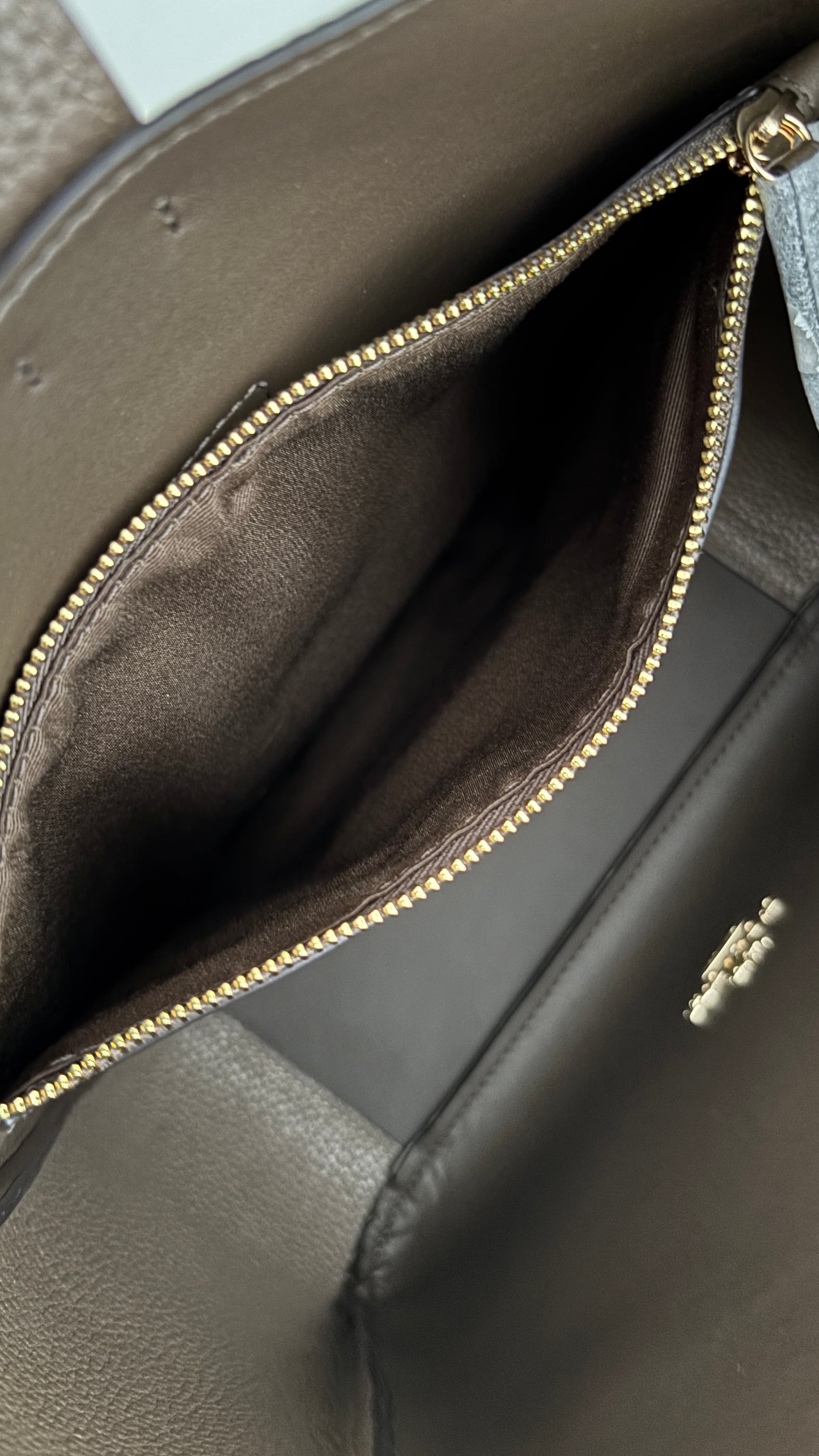 Cartera/Crossbody convertible Coach