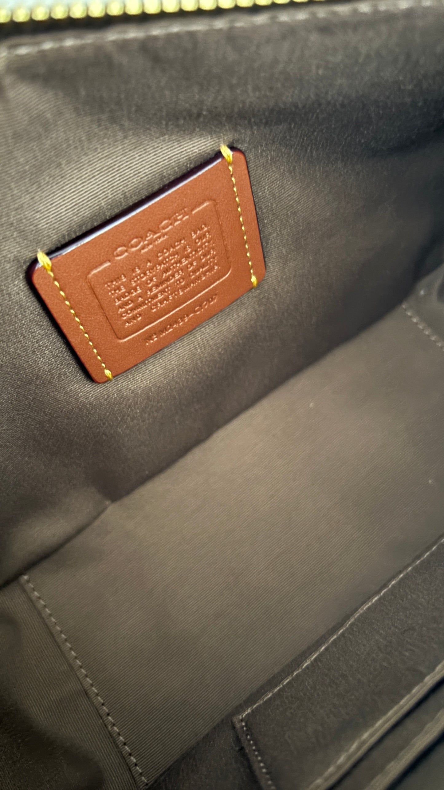 Cartera/Crossbody convertible Coach