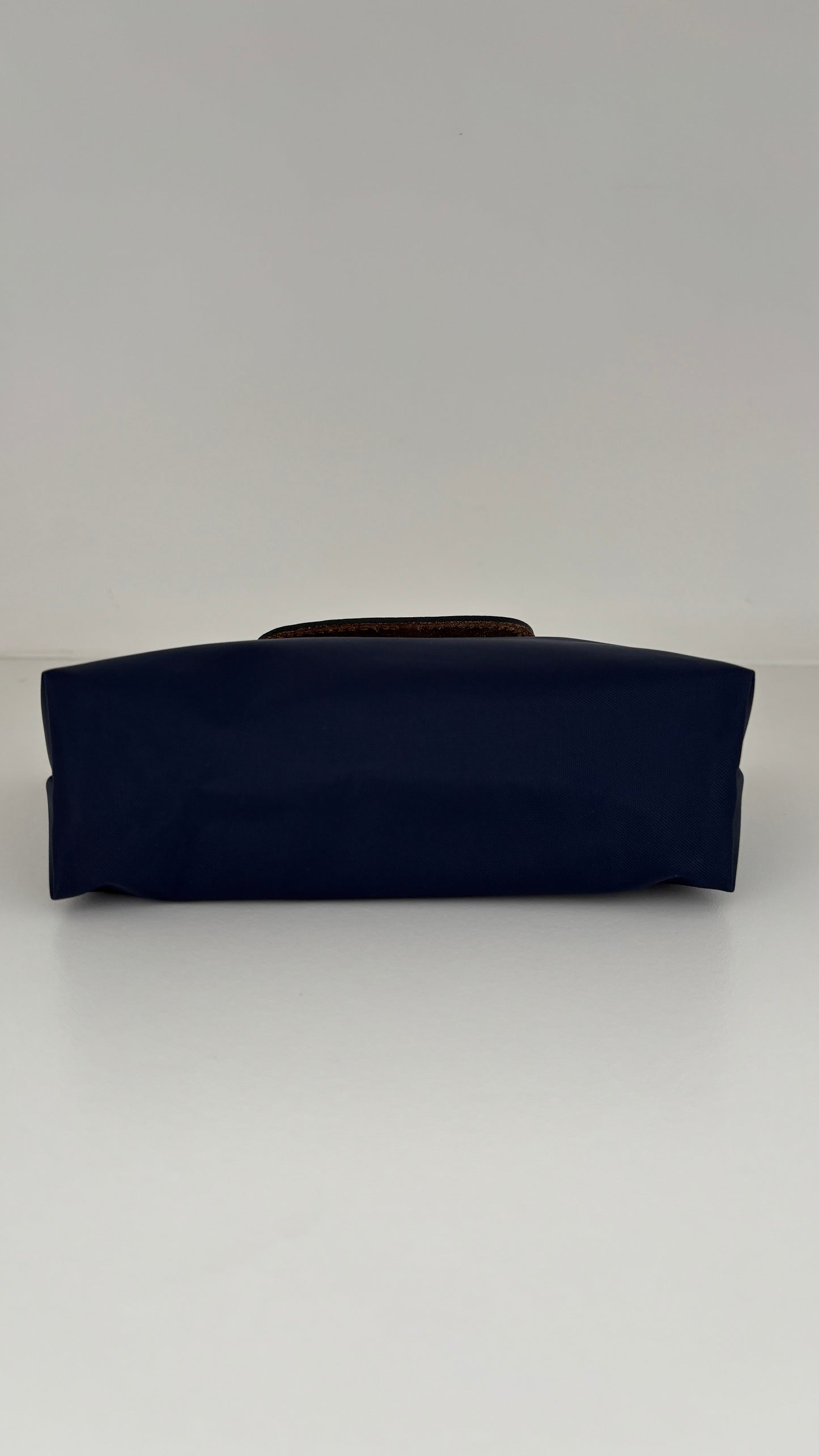 Mini Longchamp + Strap