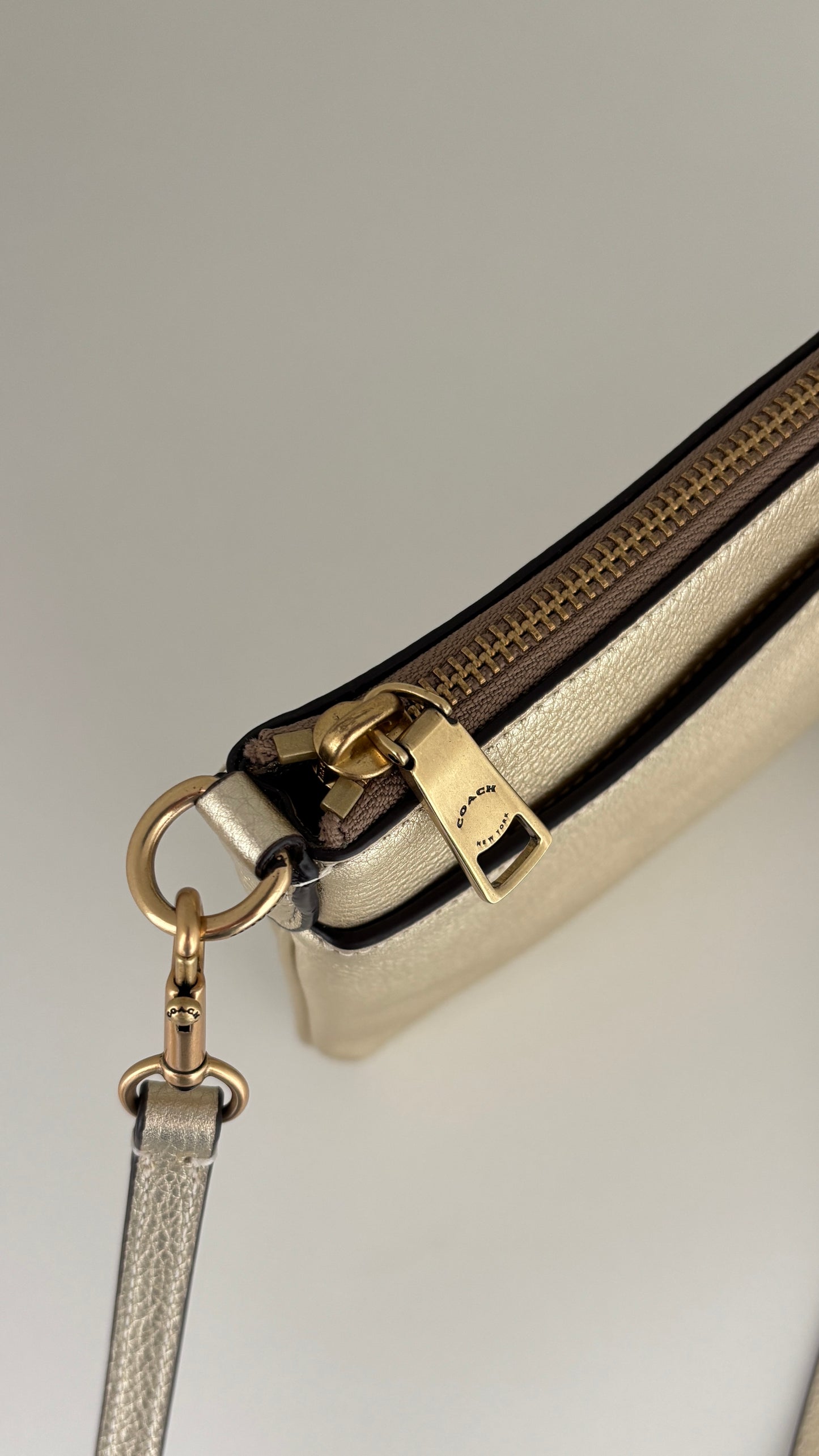Crossbody/Clutch Coach