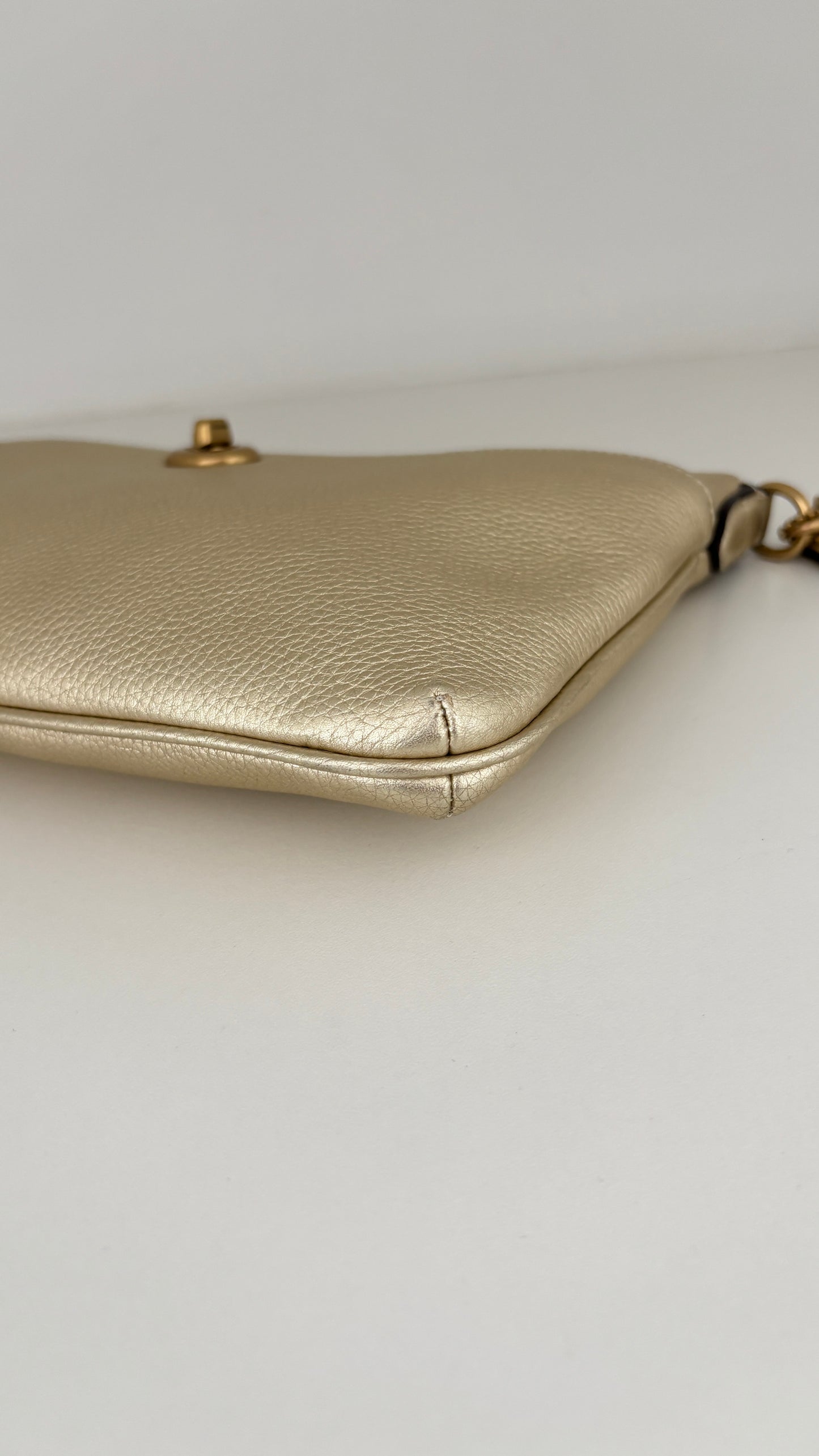 Crossbody/Clutch Coach