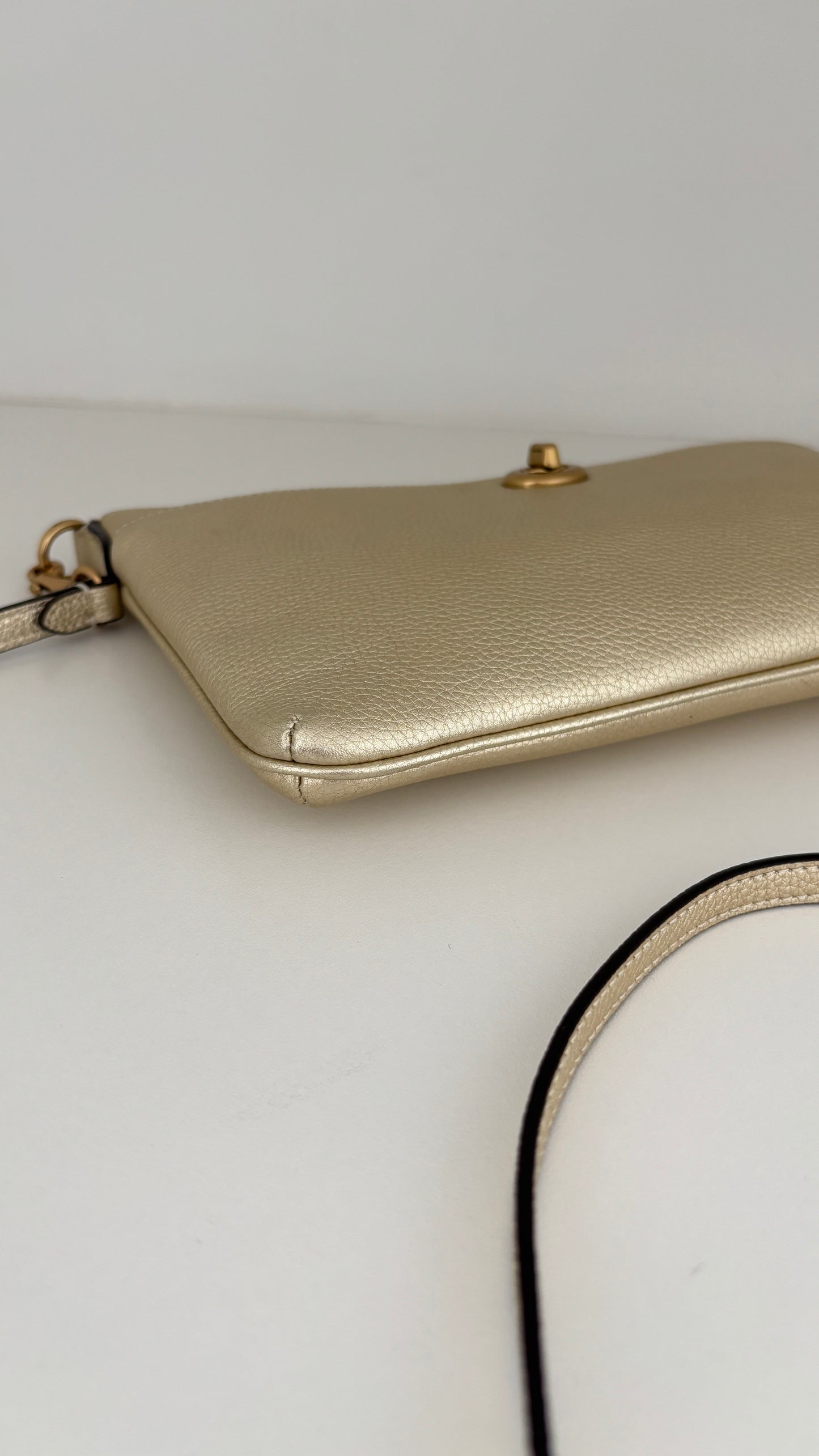 Crossbody/Clutch Coach
