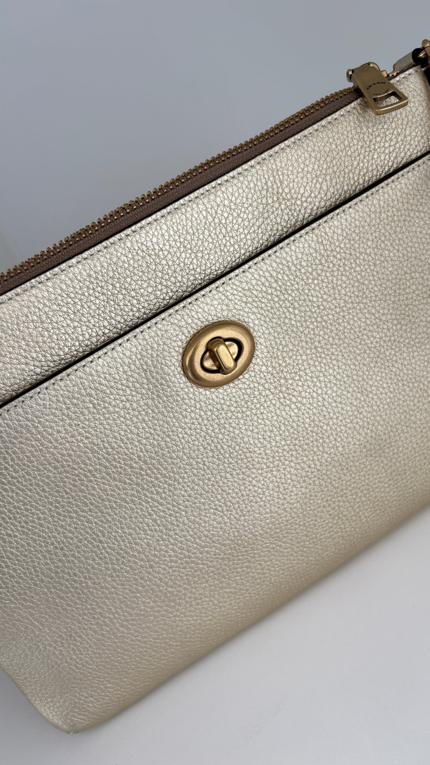 Crossbody/Clutch Coach