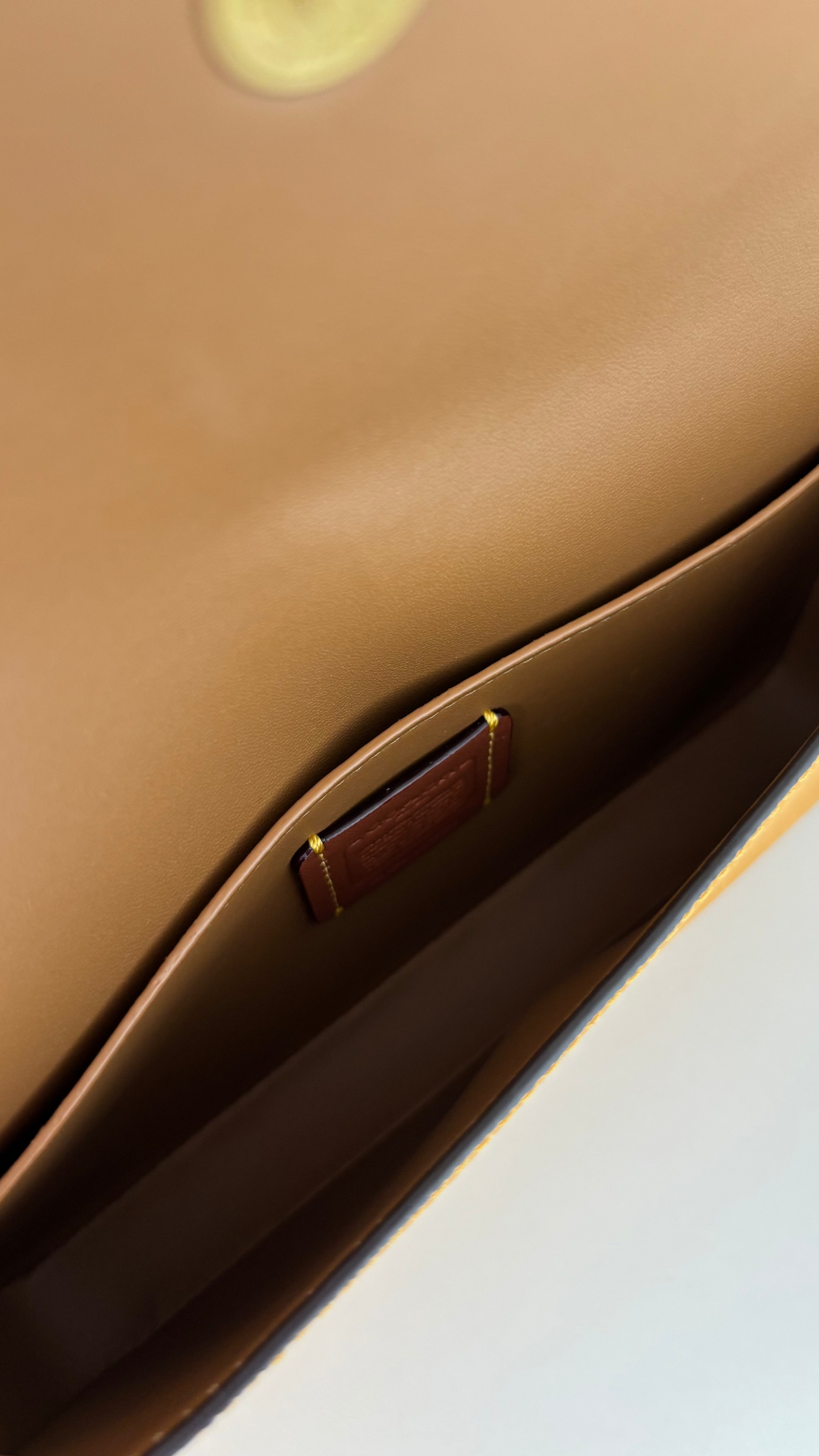 Crossbody + Pouch Coach