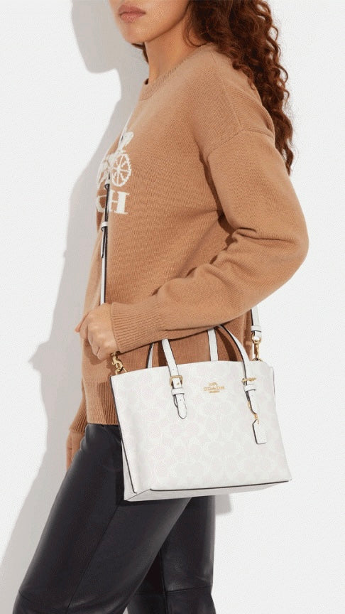 Cartera/Crossbody Coach