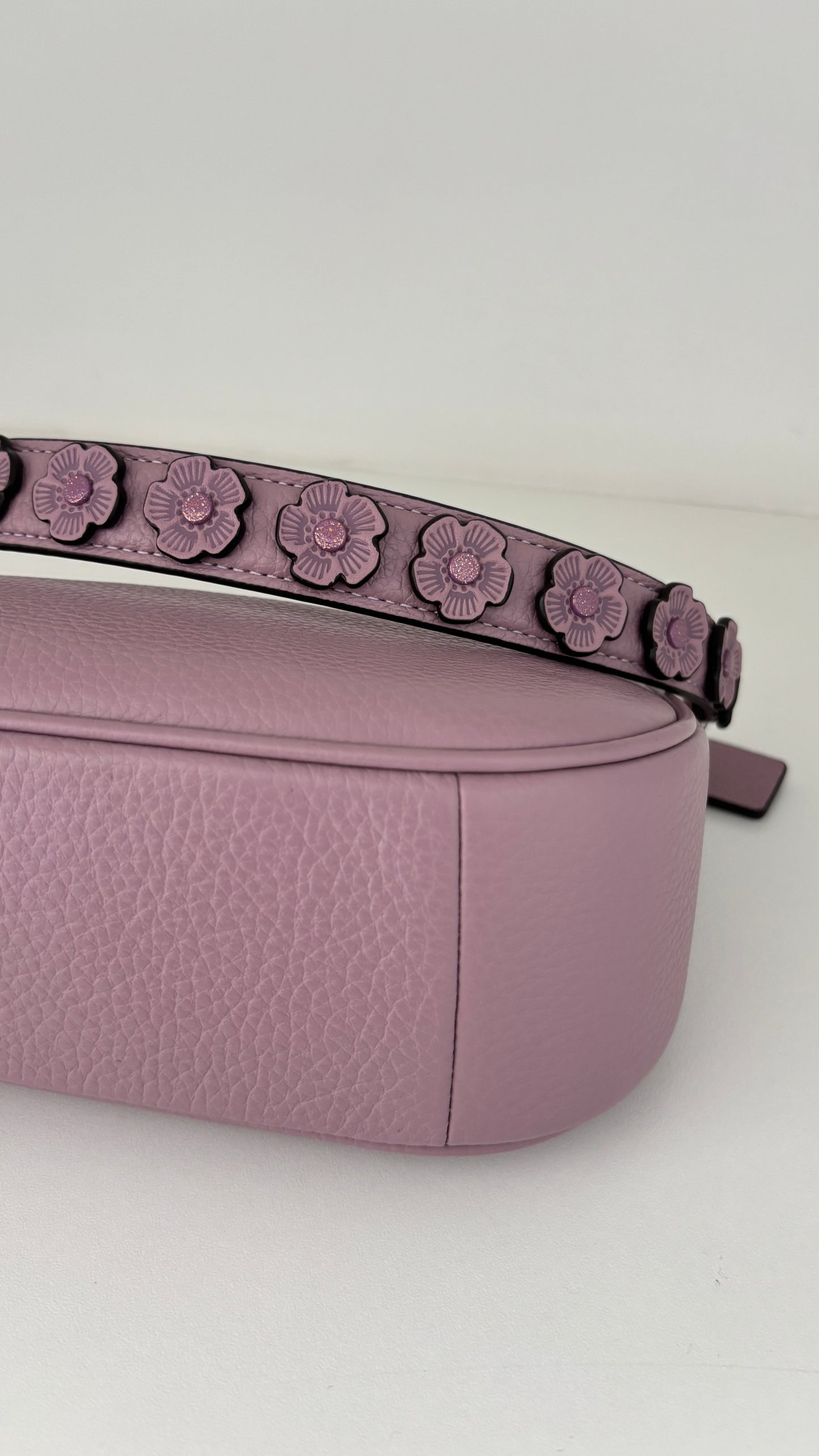 Cartera/Crossbody + Strap cadena Coach