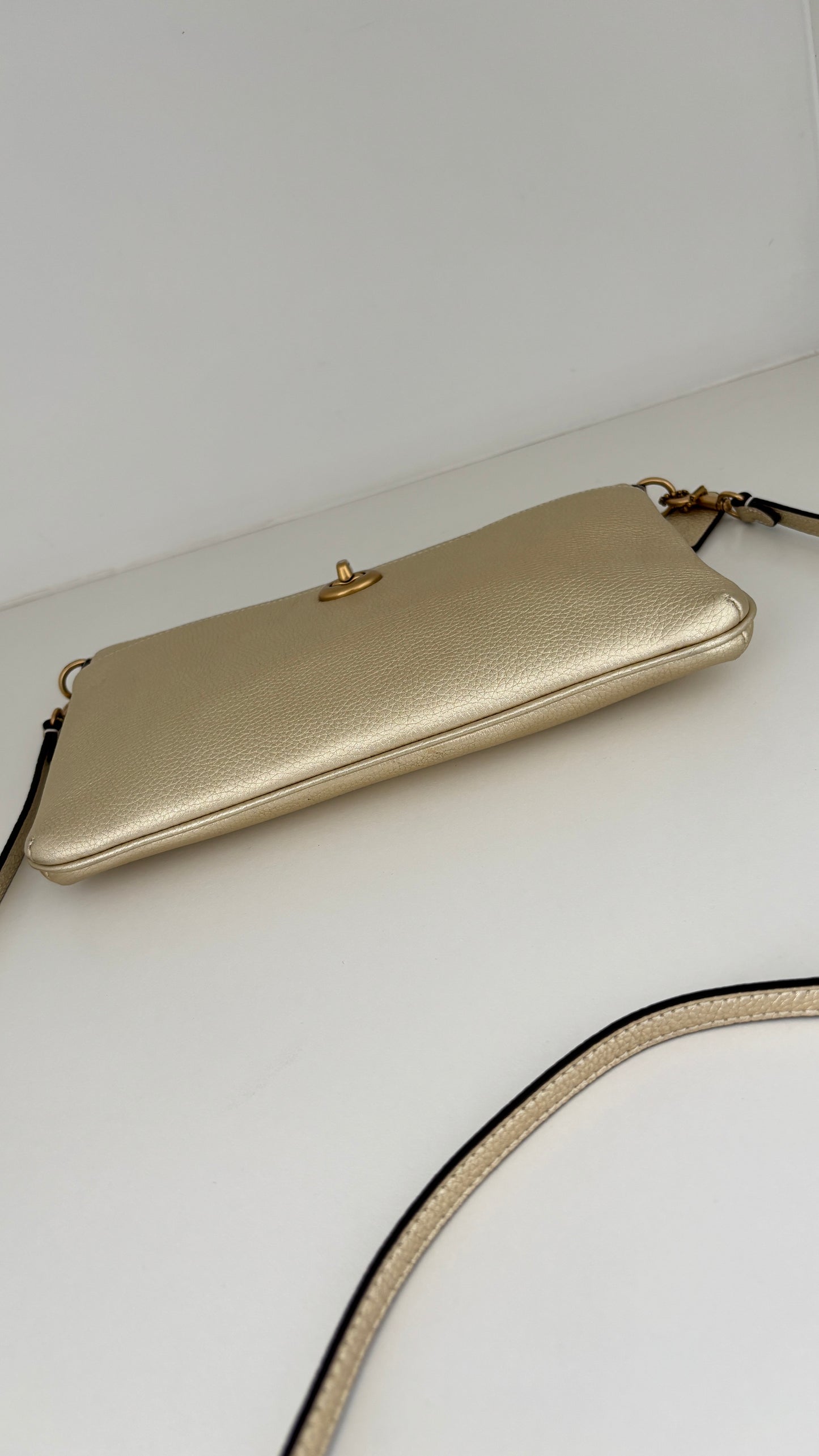 Crossbody/Clutch Coach